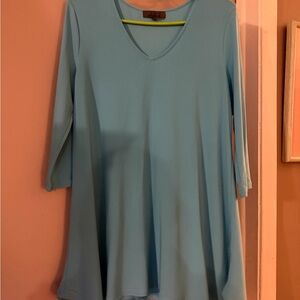 Alisha D Sky Blue V-Neck Tunic